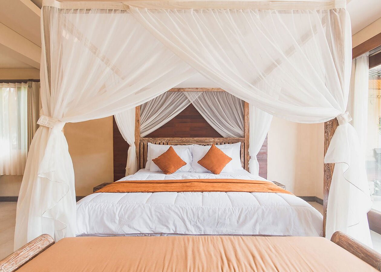 Maecenas ullamcorper